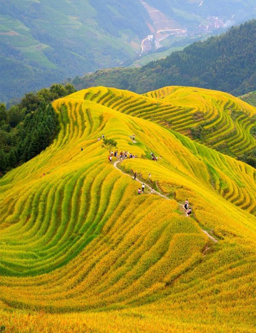 MUSLIM TOUR CHINA GUANGZHOU – YANGSHUO – GUILIN 7 HARI