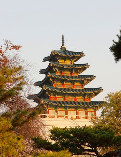 MUSLIM TOUR CHINA KUNMING - SHILIN BEST DEAL 9 HARI