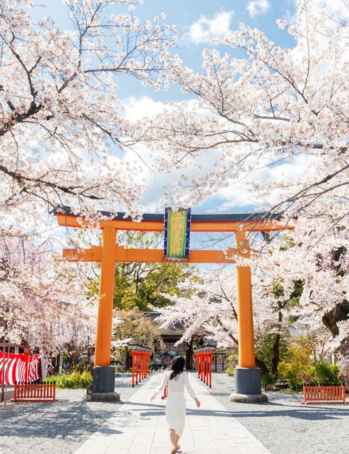 MUSLIM TOUR JAPAN 2 THEME PARK 8 HARI