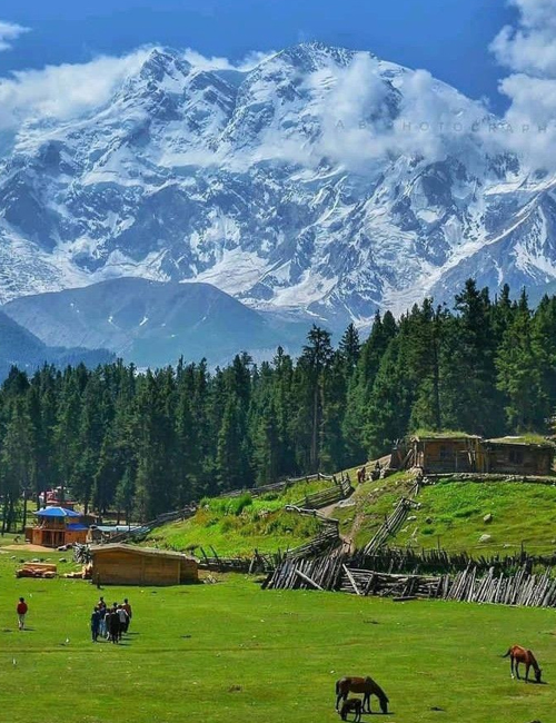 MUSLIM TOUR KASHMIR AGRA INDIA 7 HARI