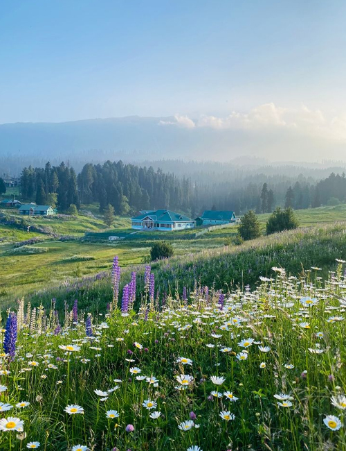 MUSLIM TOUR KASHMIR AGRA INDIA 7 HARI