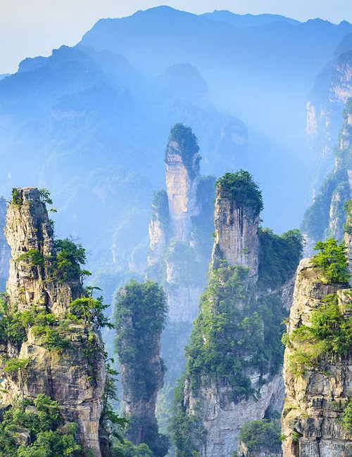 MUSLIM TOUR ZHANGJIAJIE - FENGHUANG - CHONGQING 9 HARI